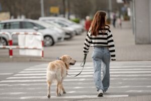 A woman crossing the street with her dog. A lawyer can tell you more about common pedestrian hazards.