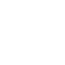 icon.financialabuse