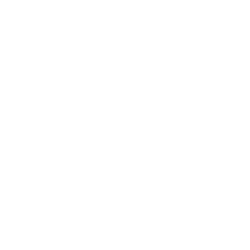 icon.physicalabuse